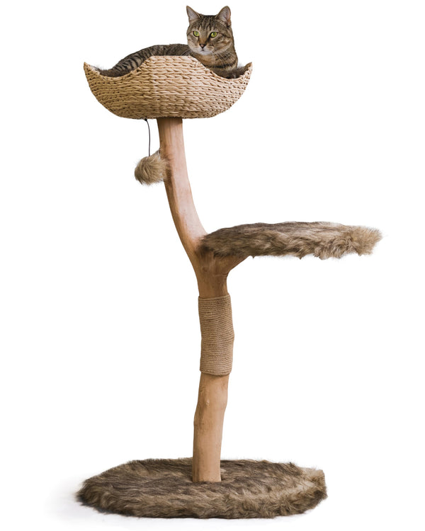 Single-Branch Wooden Cat Tree, Brown