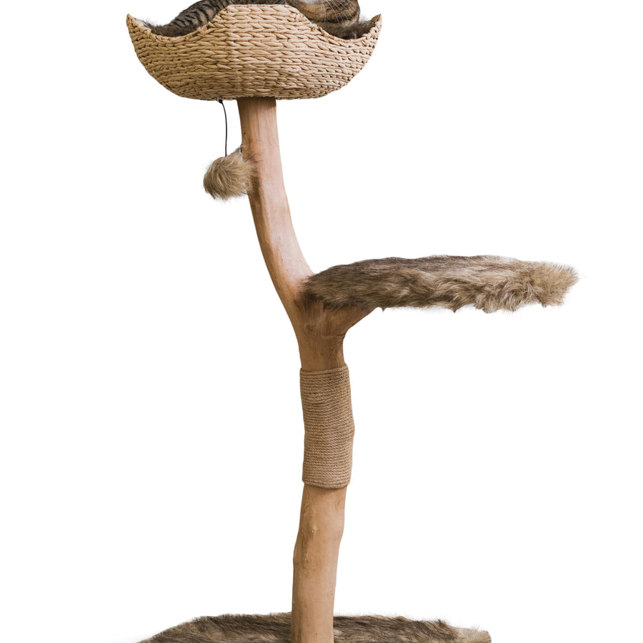 Wooden Cat Tree Tower Modern Single Branch Cat Condo Wood Cat Tree Cat Climbing Furniture for Cat Cat Lover Gift Cat FurnitureCat Gift by MAU LIFESTYLE (Brown)