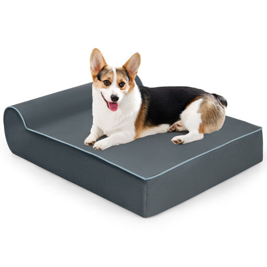Corgi on orthopedic dog bed