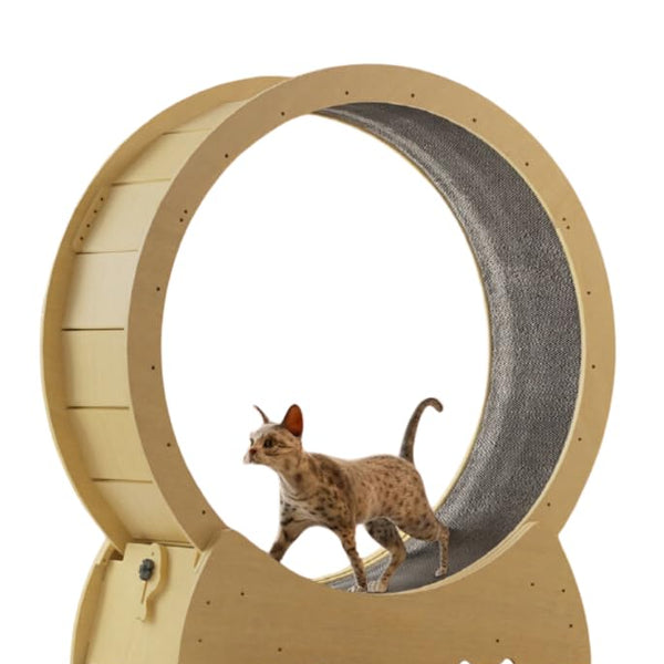 LITE DELIGHT Natural Multi-Plywood Cat Wheel Exerciser Natural Wood Color Size Large(Diameter39.4) Cat Wheels for Indoor Cat Cat Treadmill for Fitness Weight