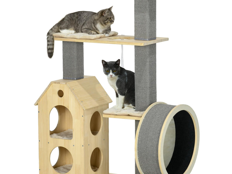 Cat Exercise & Activity