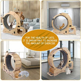 Cat Running Wheel With Silent Wheel
