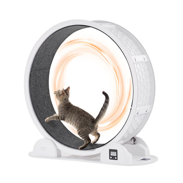 VEVOR Cat Exercise Wheel with Pedometer 40.8 in Cat Running Wheel with Brake & Carpeted Runway Quiet Cat Treadmill for Indoor Cats Under 30lbs Cat Exerciser for Pets Health & Fitness White