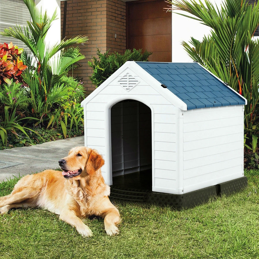 Medium Size Dog House Outdoor White Blue Plastic