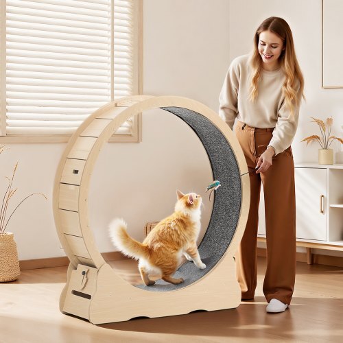 Cat Exercise Wheel, 48 in Wooden Cat Running Wheel for Indoor Cats up to 28 lbs, Cats Treadmill with Carpeted Runway & Locking Mechanism, Quiet Roller Kitten Sport Toys for Pets Fitness & Health