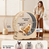 Cat Exercise Wheel, 48 in Wooden Cat Running Wheel for Indoor Cats up to 28 lbs, Cats Treadmill with Carpeted Runway & Locking Mechanism, Quiet Roller Kitten Sport Toys for Pets Fitness & Health