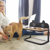 Elevated Pet Feeder with 2 Stainless Steel Bowls for Cats