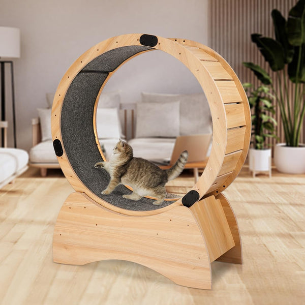 Cat Sports Running Wheel Cats Wheel Wood Climbing Frame Cat Litter Fitness Wheel for Indoor CatsClimbing LaddersCat Scratching BoardCat Bowls46.4 ×38.5×42.1 Inchs (Basic Model)